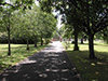 Selly Oak Park Friends